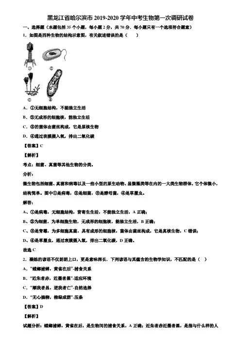 黑龙江省哈尔滨市2019-2020学年中考生物第一次调研试卷含解析
