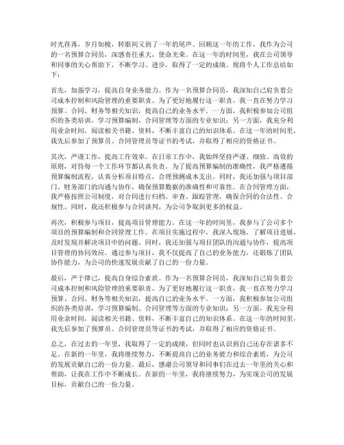 预算合同年度个人工作总结