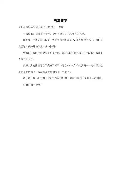 有趣的梦_小学二年级作文250字