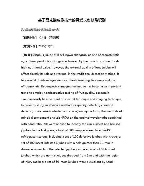 基于高光谱成像技术的灵武长枣缺陷识别