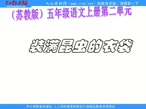 苏教版五年级上册《装满昆虫的衣袋 》PPT课件 公开课获奖课件
