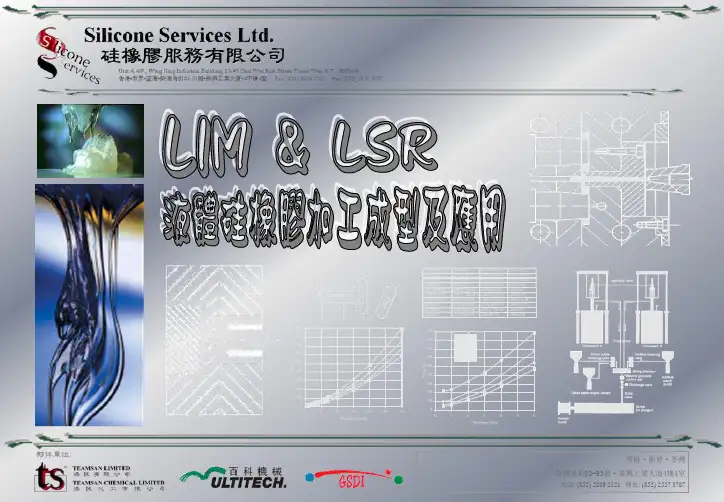 LIM&LSR液体硅橡胶加工成型及应用