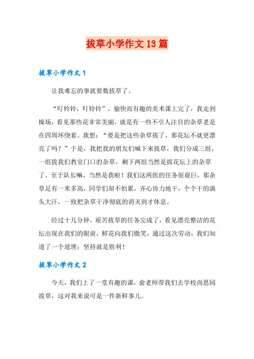 拔草小学作文13篇