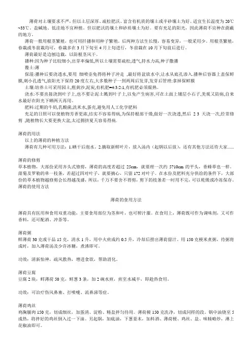 薄荷种植方法