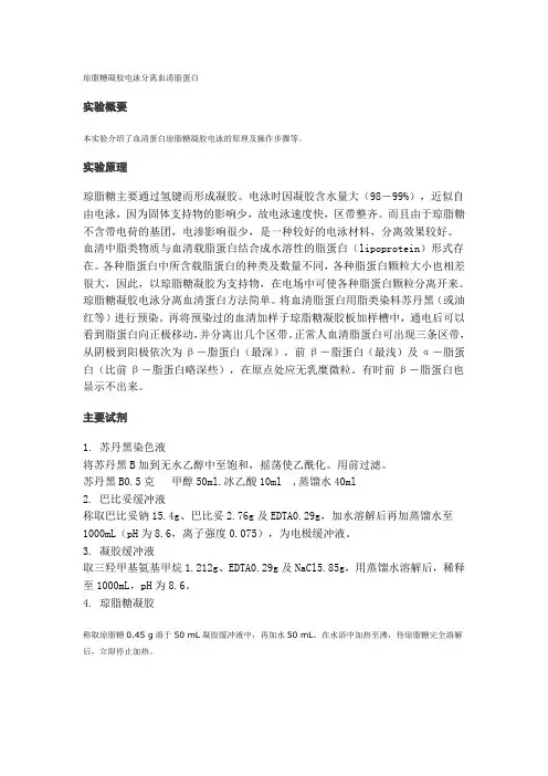 蛋白质电泳