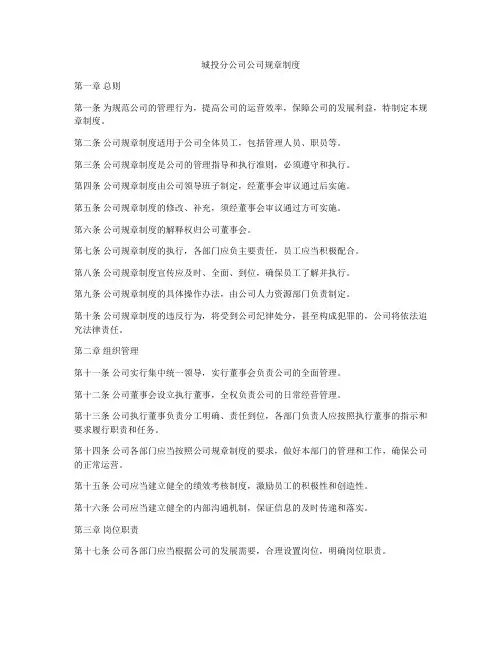 城投分公司公司规章制度