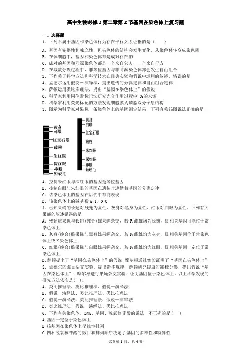 高中生物必修2第二章第2节基因在染色体上复习题