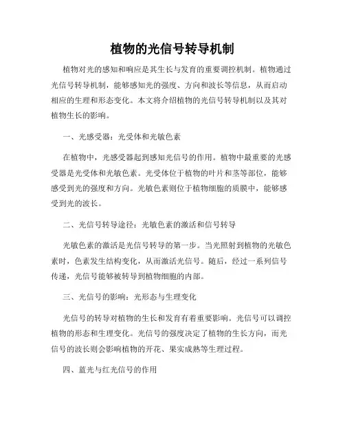 植物的光信号转导机制