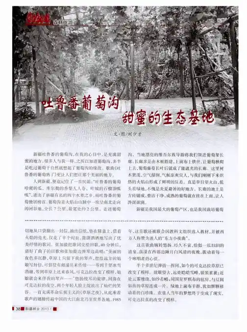 吐鲁番葡萄沟：甜蜜的生态基地