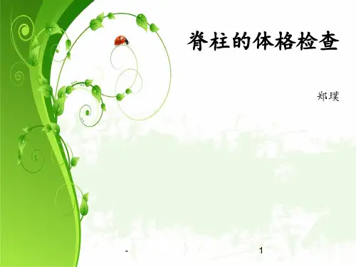 脊柱的体格检查ppt课件