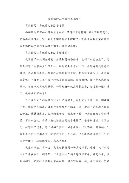 有关猫的二年级作文500字