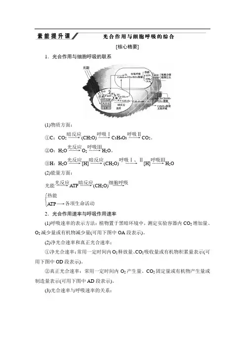 2019-2020学年人教版生物必修一讲义：第5章 素能提升课 光合作用与细胞呼吸的综合 
