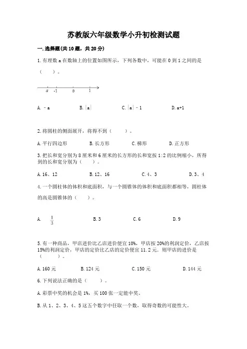 苏教版六年级数学小升初检测试题附参考答案(典型题)