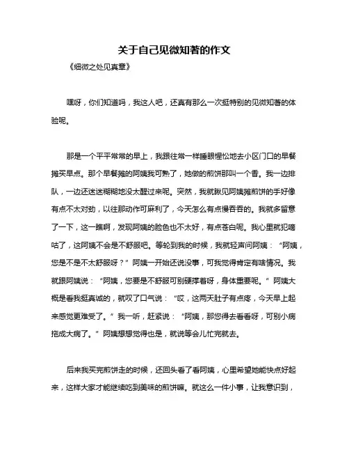 关于自己见微知著的作文