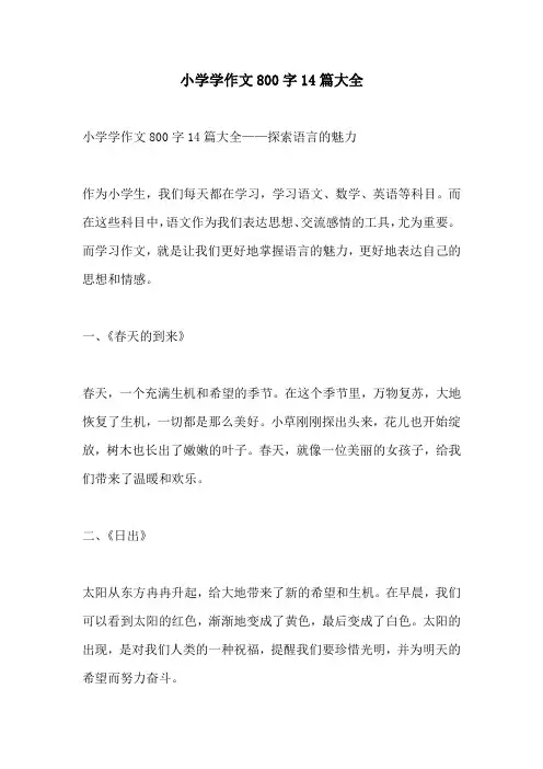 小学学作文800字14篇大全