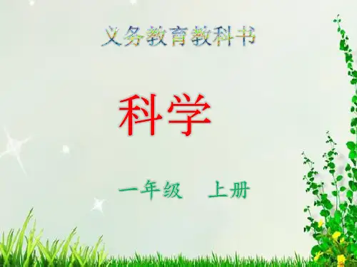 科学起点和终点课件教科版上册一年级