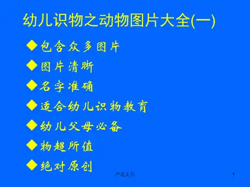动物图片大全[优质分析]