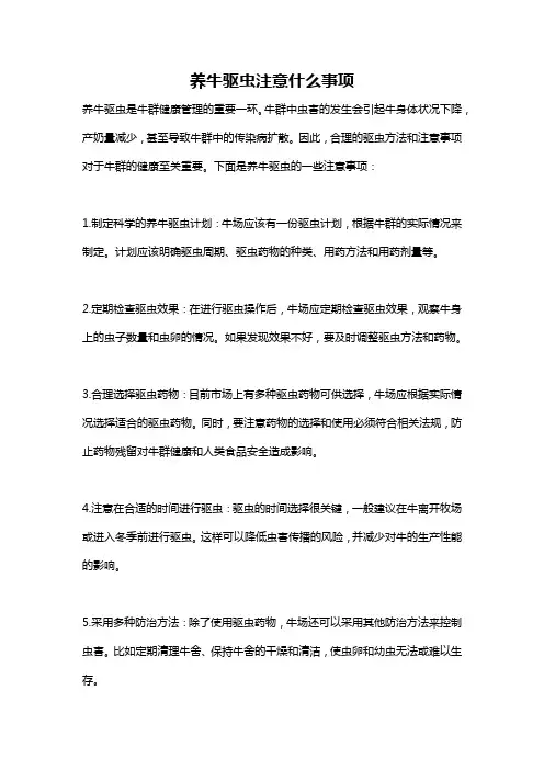 养牛驱虫注意什么事项