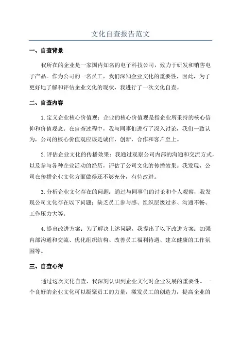 文化自查报告范文