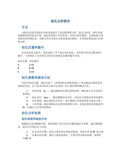 钻孔分析报告