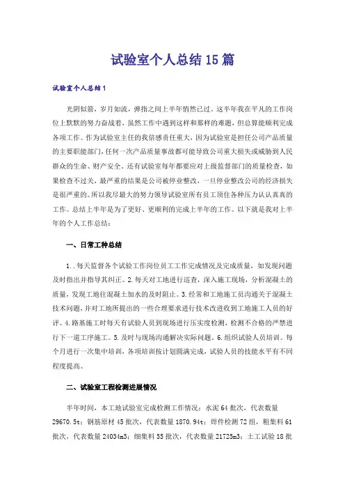 试验室个人总结15篇