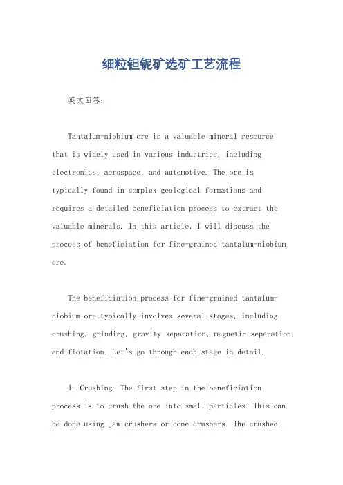 细粒钽铌矿选矿工艺流程