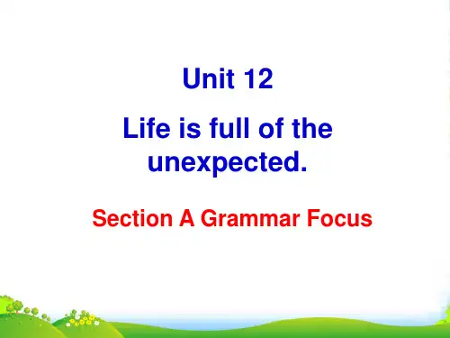 人教版英语九全Unit 12 Section A(Grammar Focus)教学课件(共25张PP