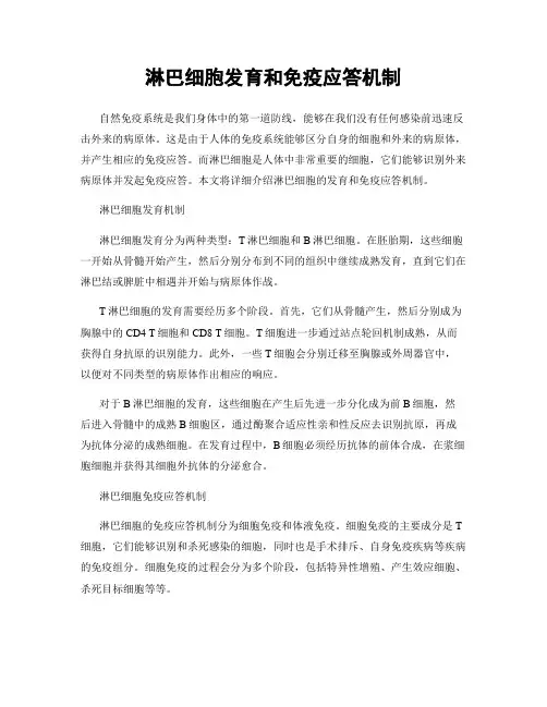 淋巴细胞发育和免疫应答机制
