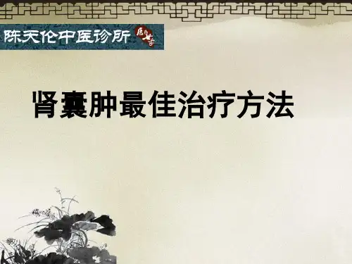 肾囊肿最佳治疗方法.ppt