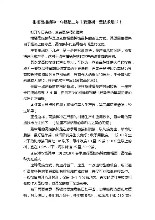 柑橘高接换种一年还是二年？要重视一些技术细节！