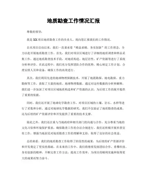 地质勘查工作情况汇报