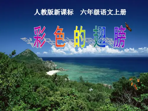 (赛课课件)六年级上册语文《彩色的翅膀》(共28张PPT)