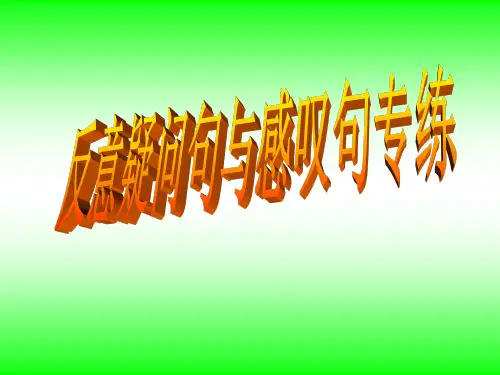 反义疑问句与感叹句