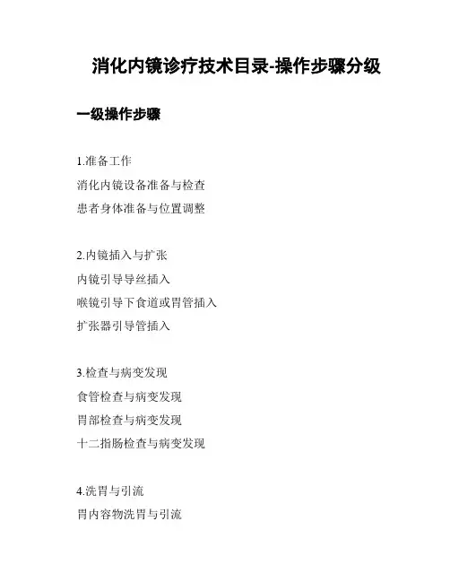 消化内镜诊疗技术目录-操作步骤分级
