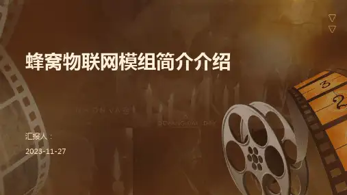 蜂窝物联网模组简介介绍