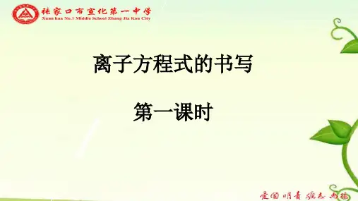 高考化学专题复习课件：离子反应(共31张PPT)