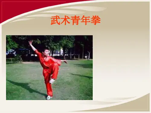初中体育_青年拳教学课件设计
