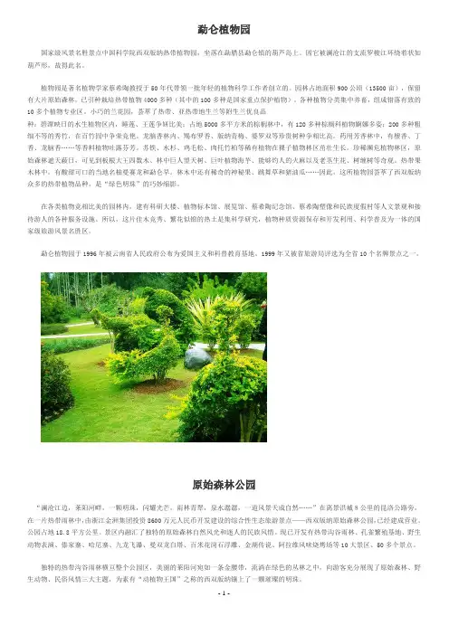 西双版纳景点简介