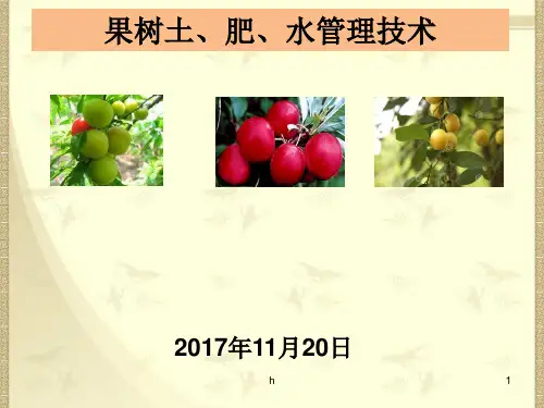 《果实土水肥管理》PPT课件