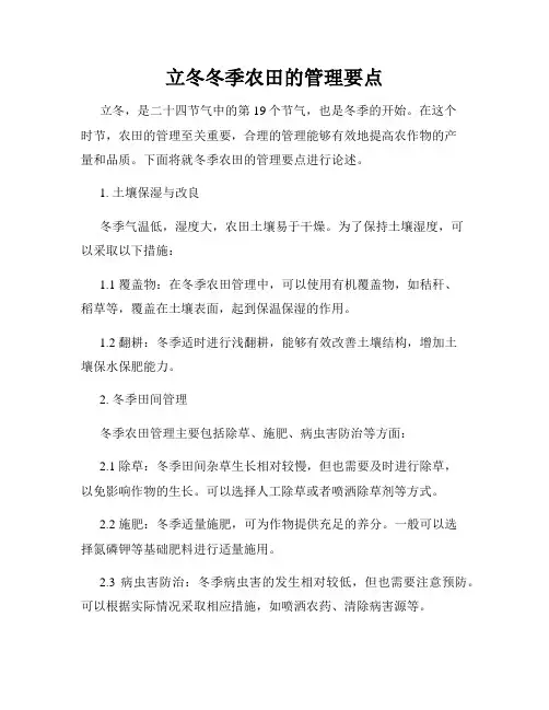立冬冬季农田的管理要点