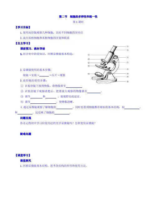 人教版高中生物高一必修一导学案：第一章_走进细胞_第二节_细胞的多样性和统一性