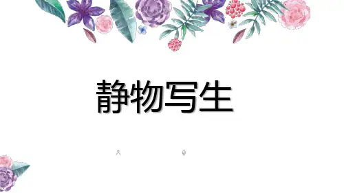 五年级下册美术课件-5 静物写生(158)-人教版
