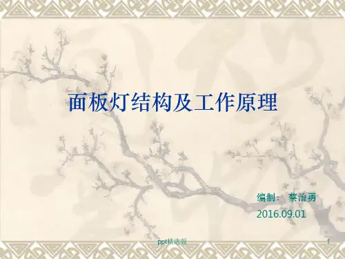 LED面板灯结构及工作原理ppt课件