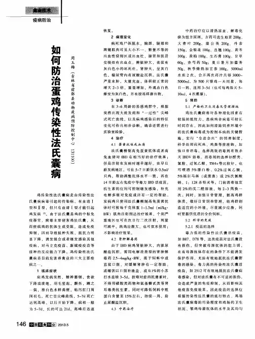 如何防治蛋鸡传染性法氏囊病