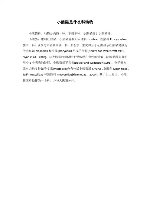 小熊猫是什么科动物