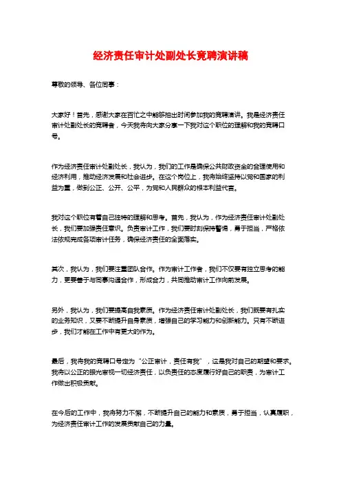 经济责任审计处副处长竟聘演讲稿