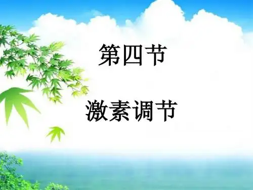激素调节 课件(共17张PPT)