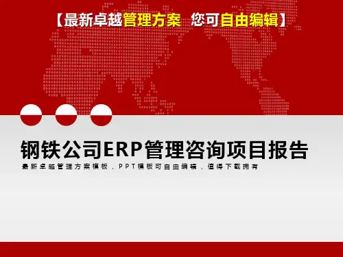 【精品管理方案】钢铁公司ERP管理咨询项目管理诊断报告