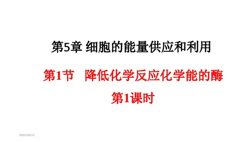5.1.1 降低化学反应活化能的酶 课件【新教材】人教版(2019)高中生物必修一