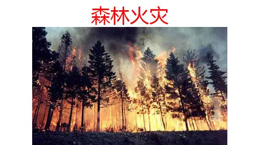 高三地理专题——森林火灾(优质课件)